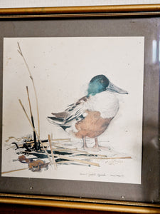 Cadre lithographie canard