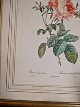 Charger l&#39;image dans la galerie, Cadre ancien lithographie florale