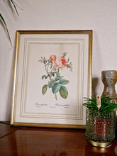 Charger l&#39;image dans la galerie, Cadre ancien lithographie florale