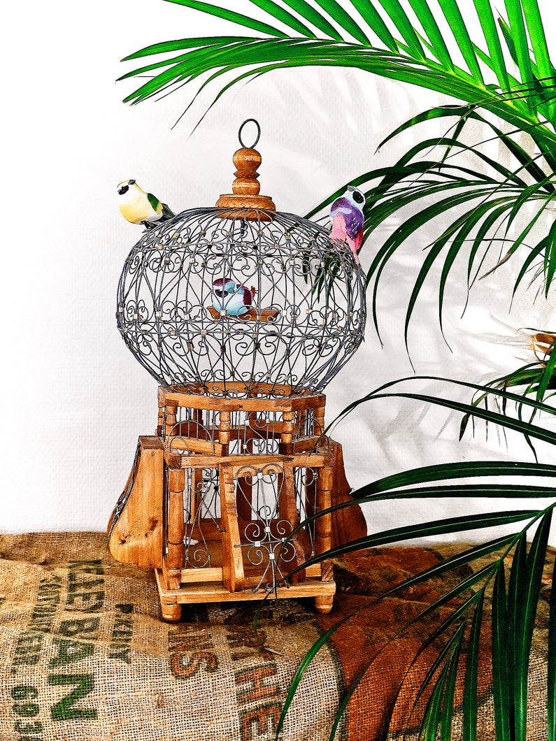 Cage oiseaux vintage