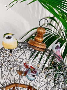 Cage oiseaux vintage