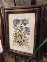 Charger l&#39;image dans la galerie, Boîte à clefs lithographie florale