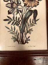 Charger l&#39;image dans la galerie, Set de 2 cadres lithographie fleurs