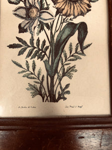 Set de 2 cadres lithographie fleurs