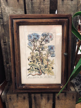 Charger l&#39;image dans la galerie, Boîte à clefs lithographie florale